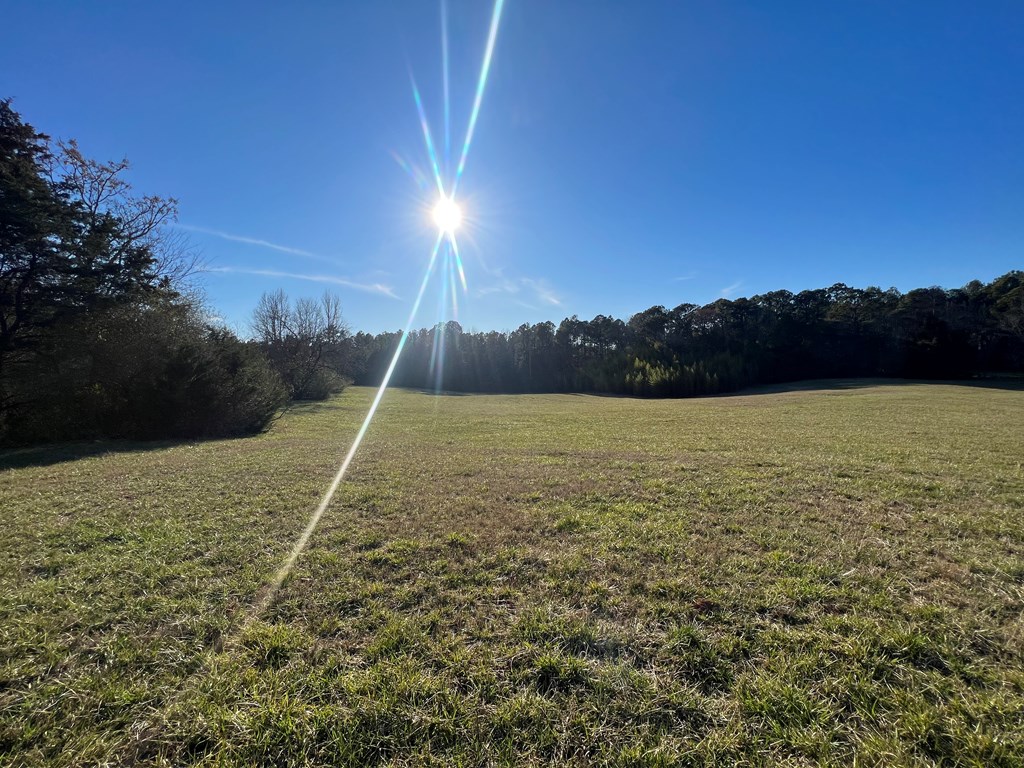 0 Wideman Cemetery Road McCormick, SC 29835 - Photo 5 of 16