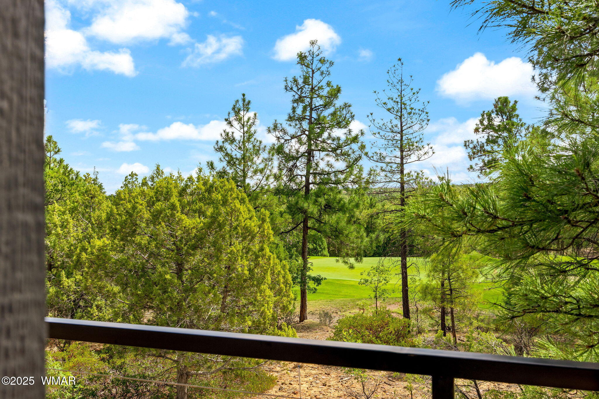 1541 Gambel Oak Road Show Low, AZ 85901 - Photo 34 of 67