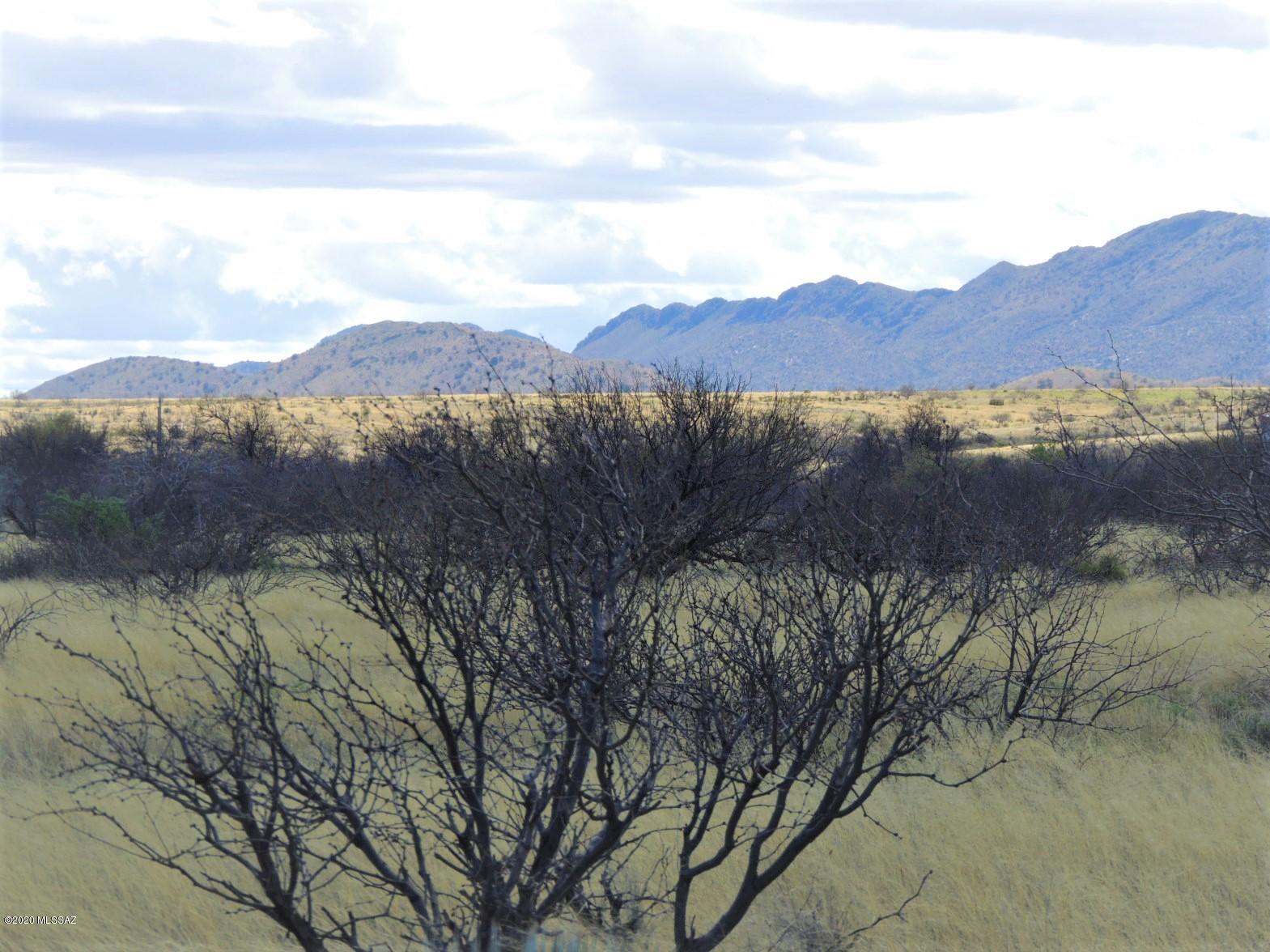 Tbd West Pearce Road, Unit 2 Pearce, AZ 85625 - Photo 12 of 19
