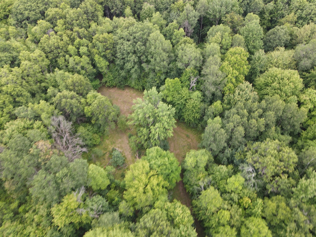11401 Little George Lake Road Gladwin, MI 48624 - Photo 36 of 98