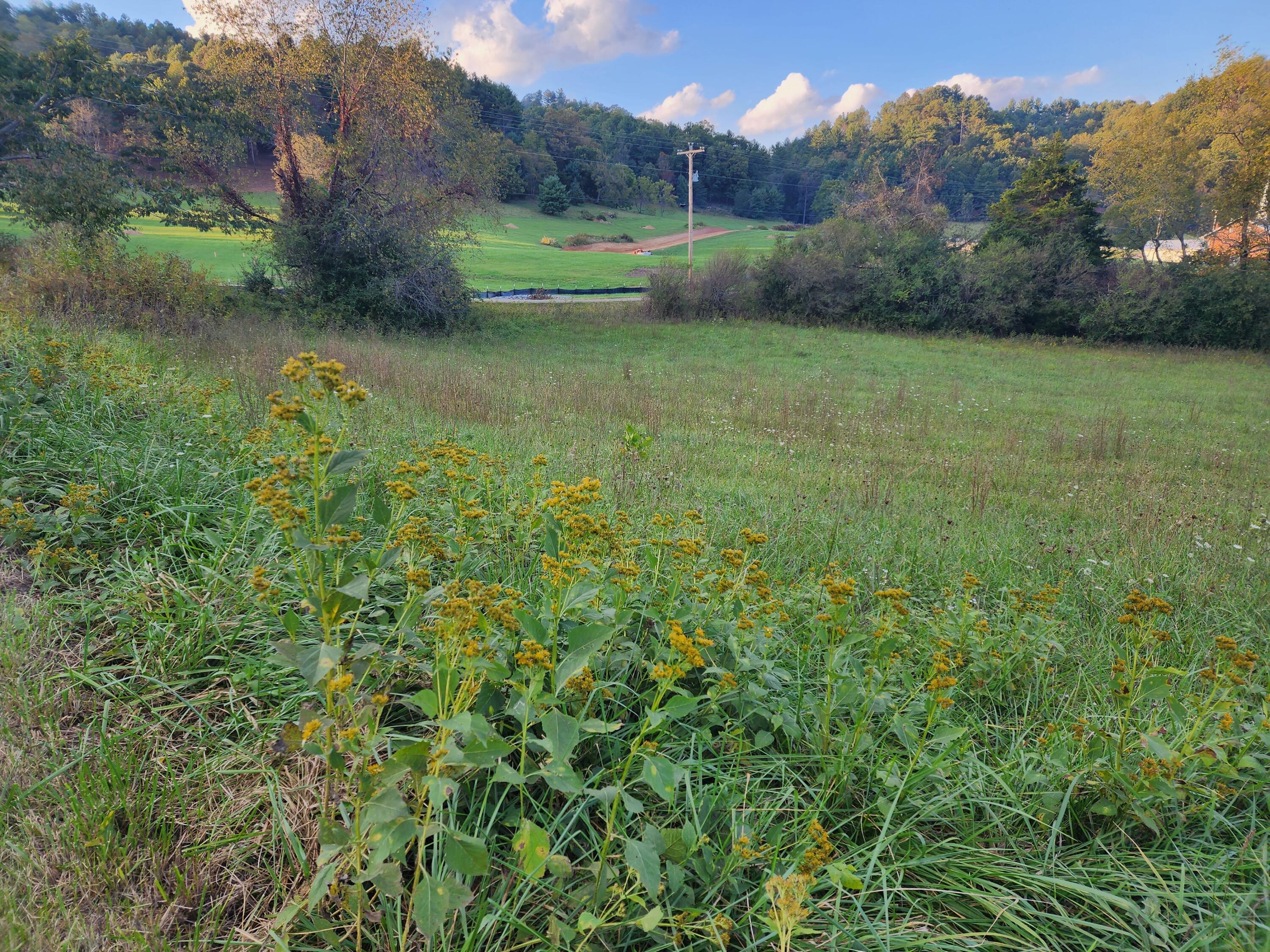 Tbd Sugar Grove Church Road, Unit 1 Butler, TN 37640 - Photo 10 of 14 20231010_181158