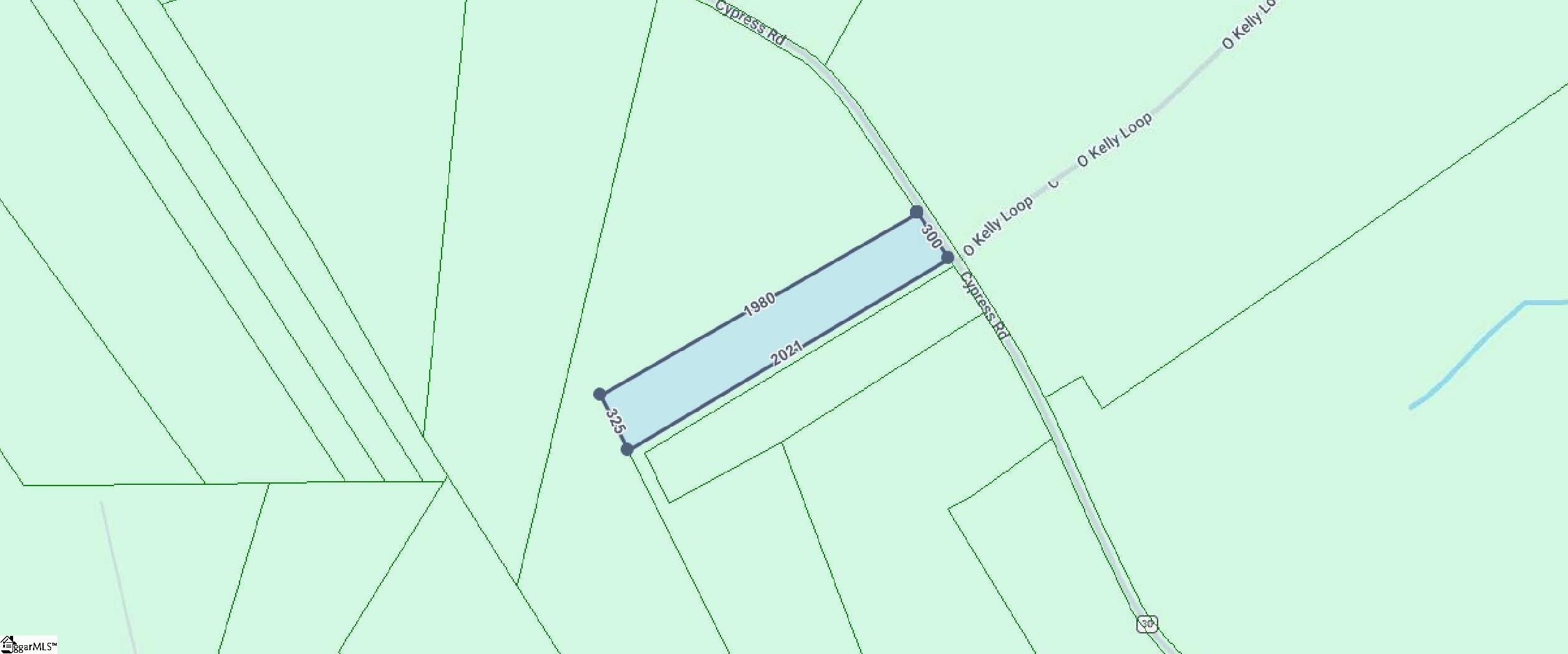 Cypress Road Bishopville, SC 29010 - Photo 5 of 5