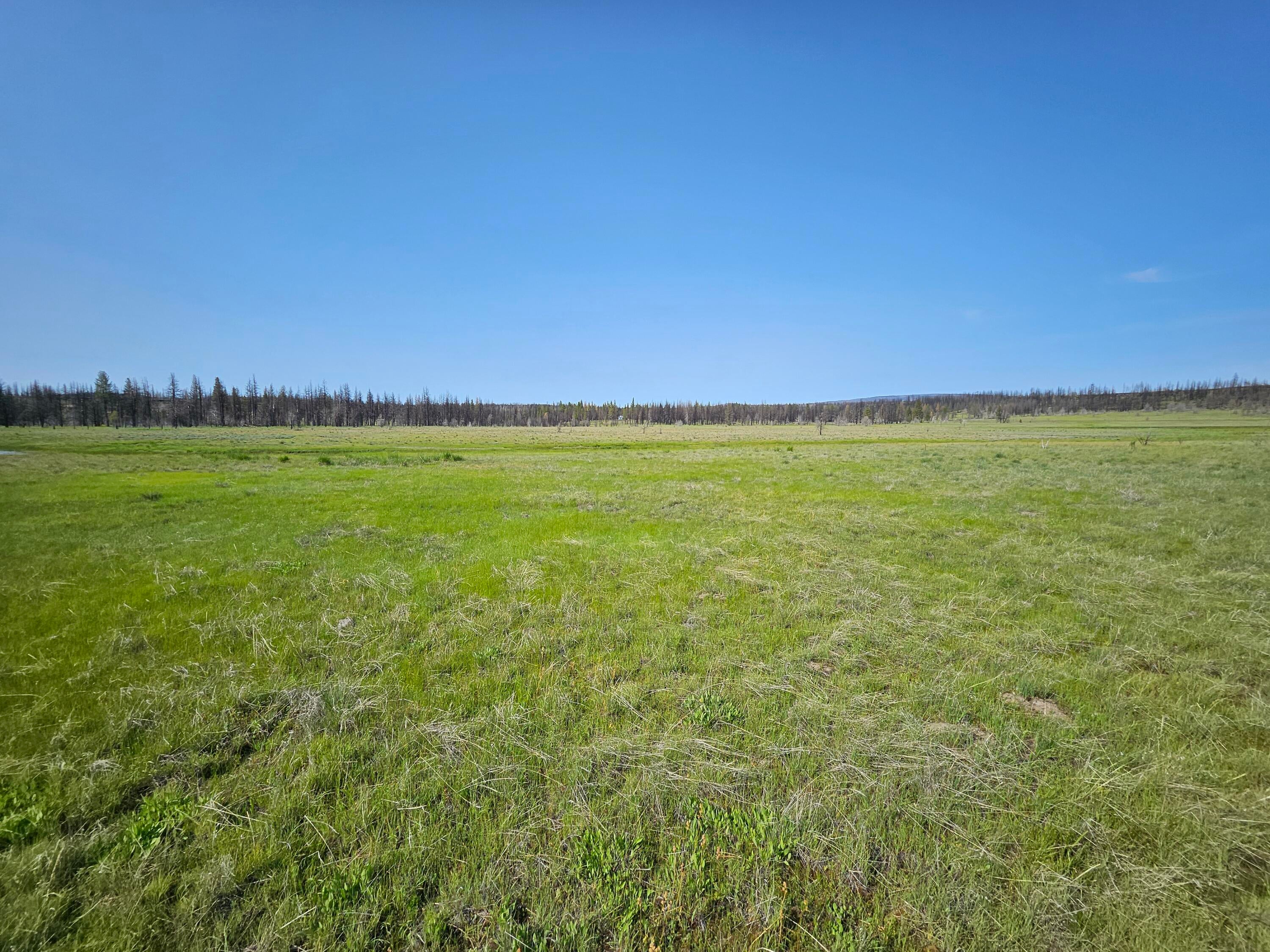 8 Parazoo Trail Bly, OR 97622 - Photo 12 of 27 20250601_165154