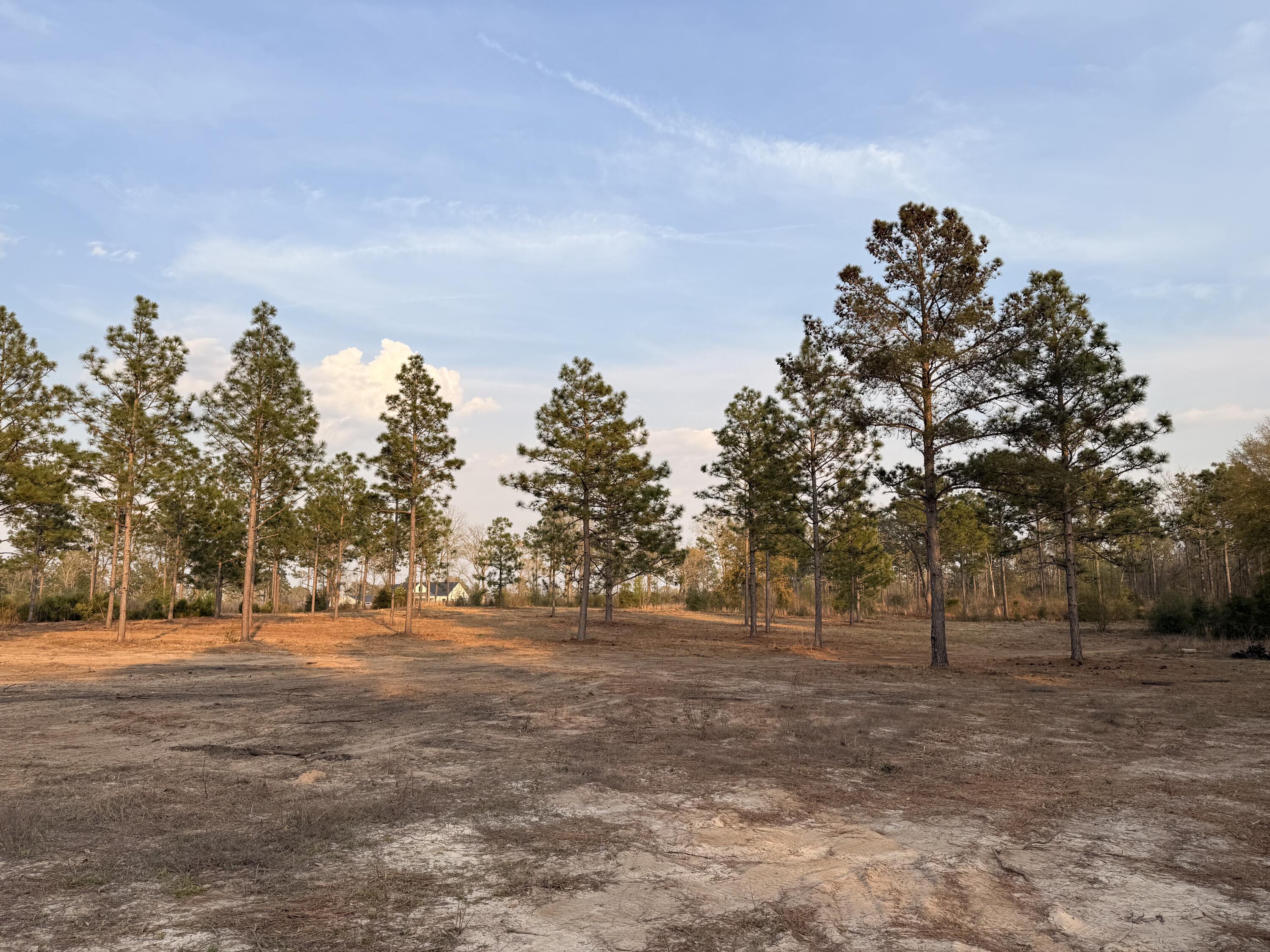 734 State Park Road Windsor, SC 29856 - Photo 2 of 12