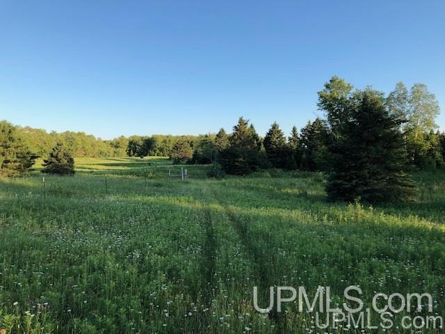 E4047 East Cold Springs Road Chatham, MI 49816 - Photo 5 of 33