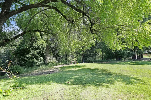 a view of outdoor space with deck and yard