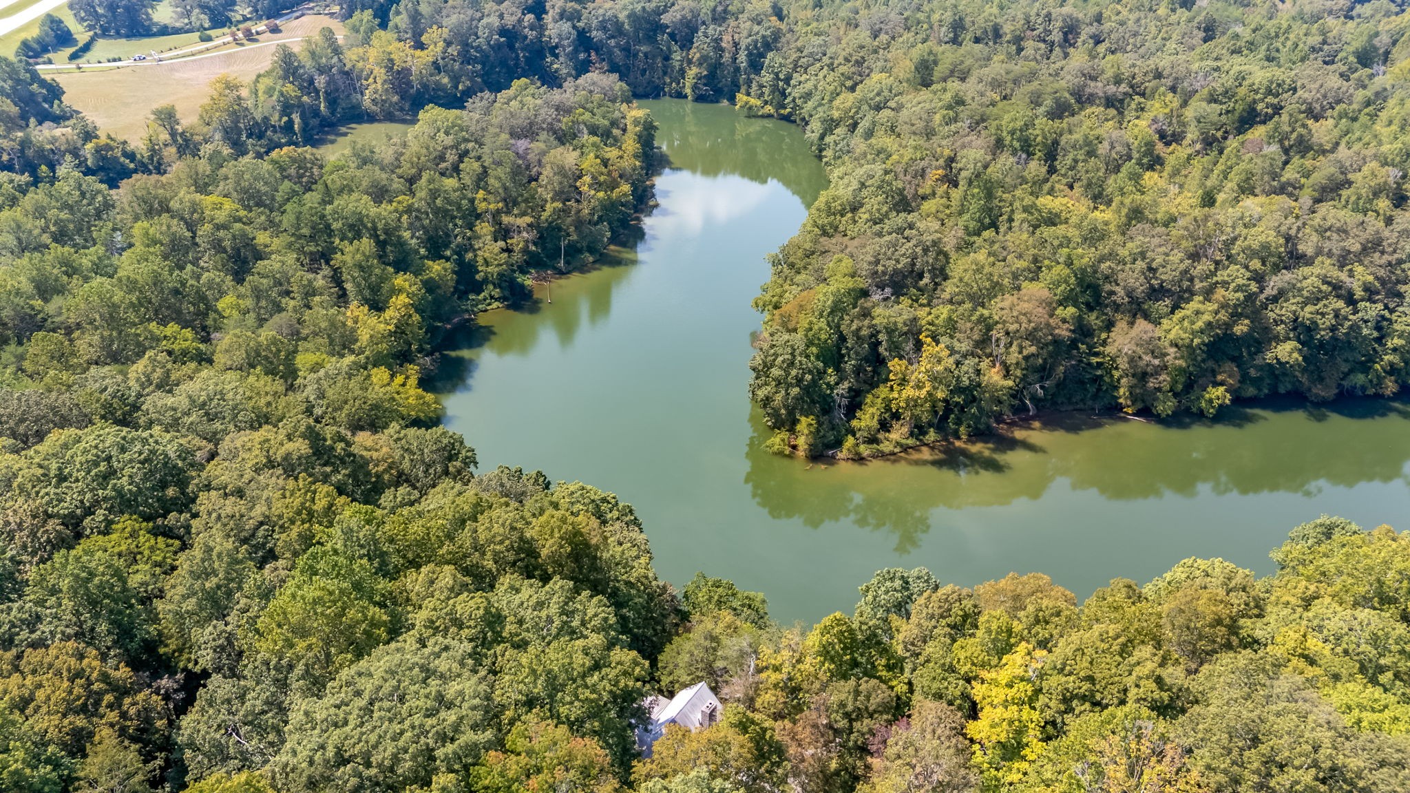 658 Moore Road Doyle, TN 38559 - Photo 2 of 92