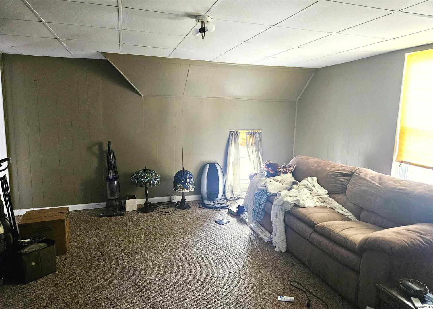 933 Adams Street Quincy, IL 62301 - Photo 21 of 26 a living room with furniture a window and potted plants