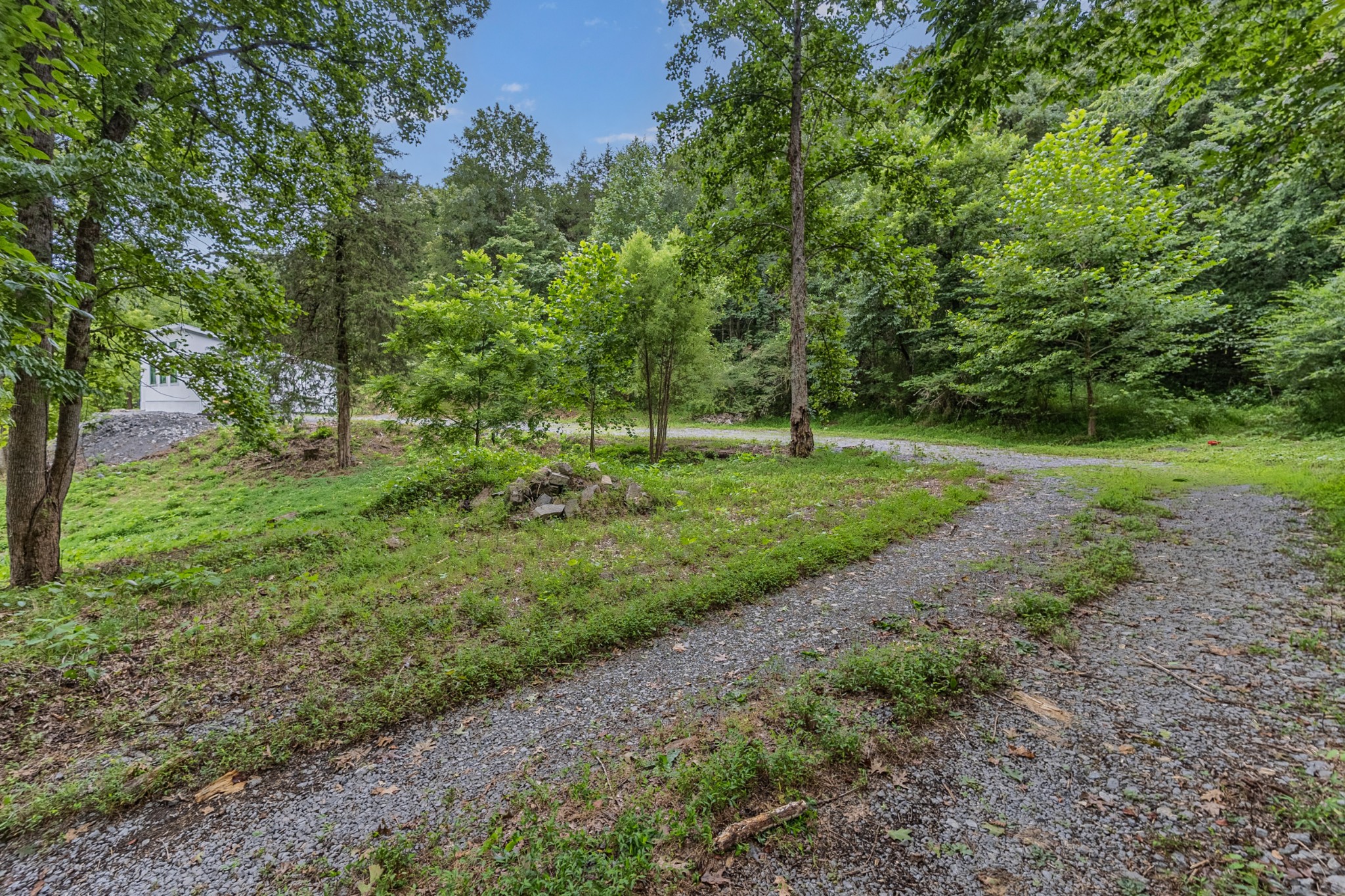 515 Big Branch Road Granville, TN 38564 - Photo 5 of 76 a view of a park with trees in the background