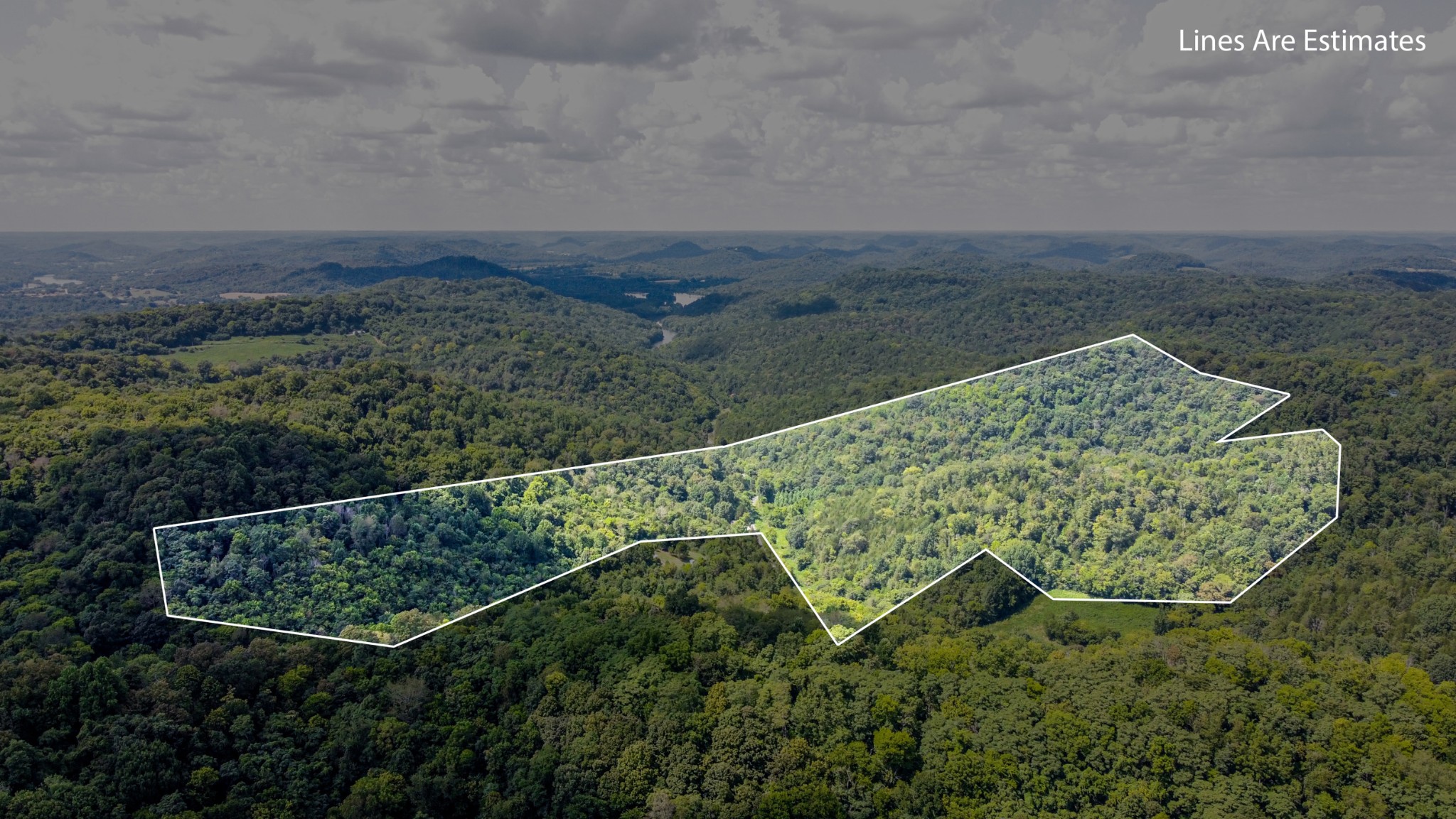 515 Big Branch Road Granville, TN 38564 - Photo 53 of 76