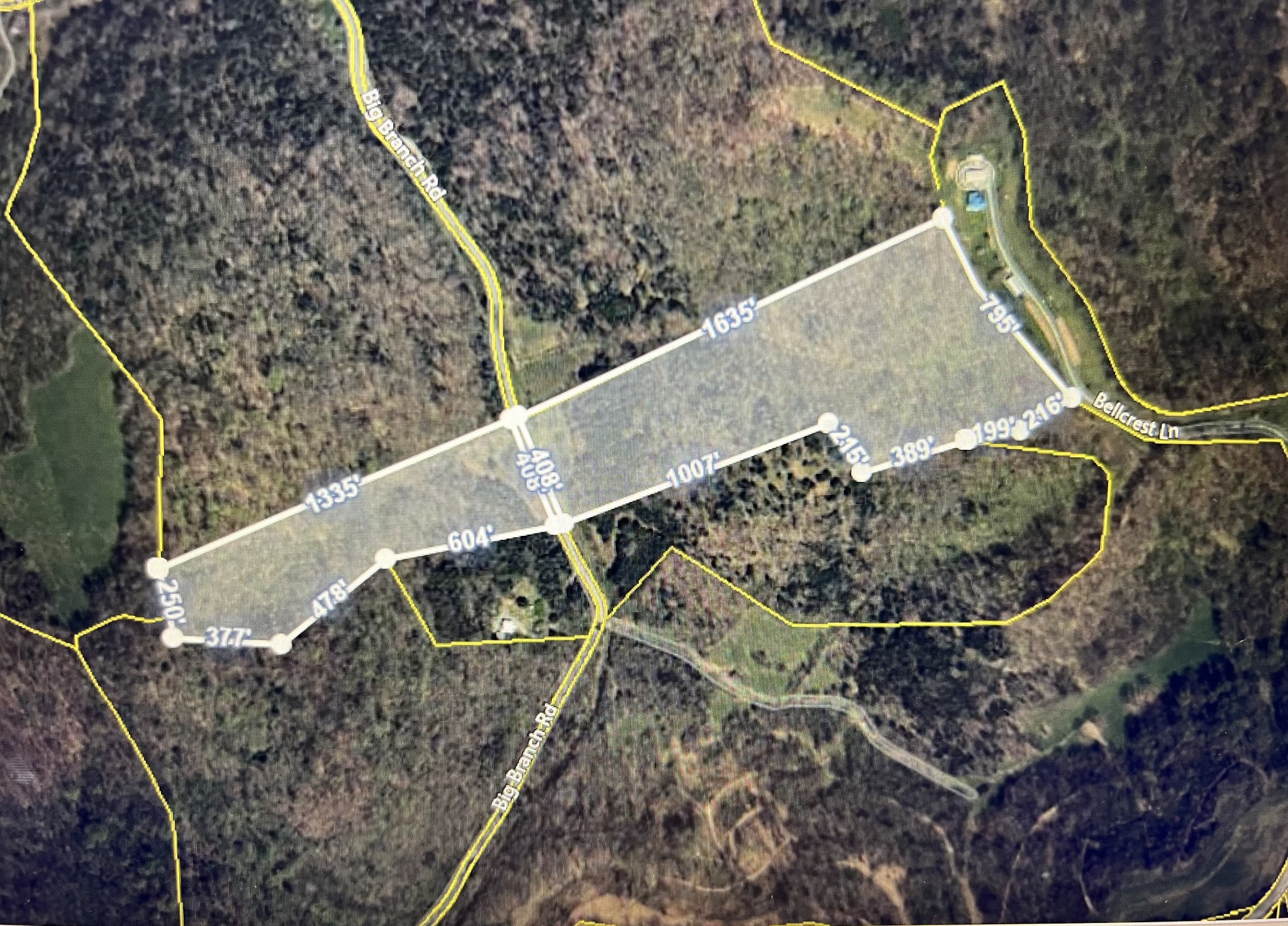 515 Big Branch Road Granville, TN 38564 - Photo 54 of 76