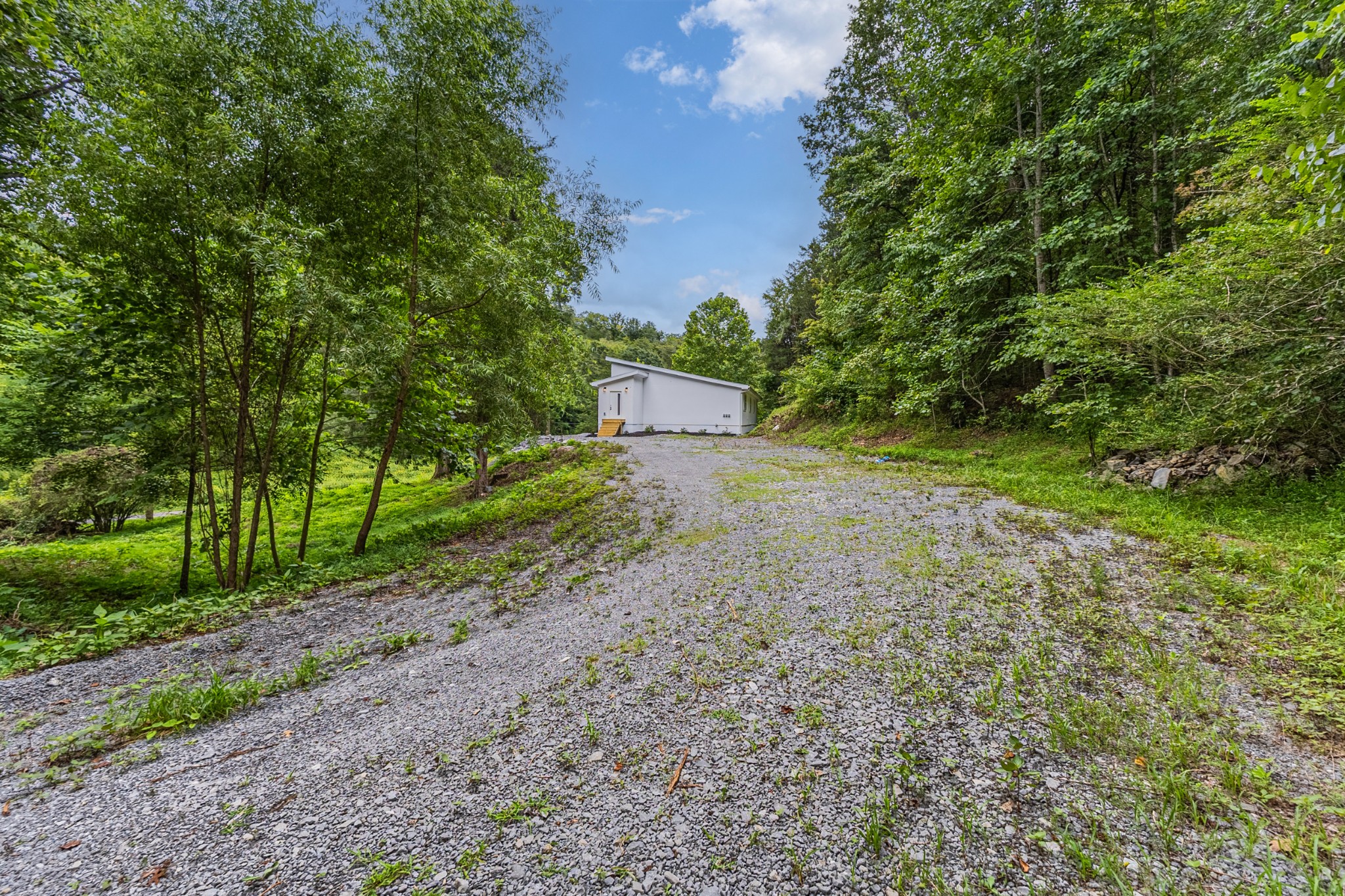 515 Big Branch Road Granville, TN 38564 - Photo 6 of 76 a view of a yard with plants and large trees