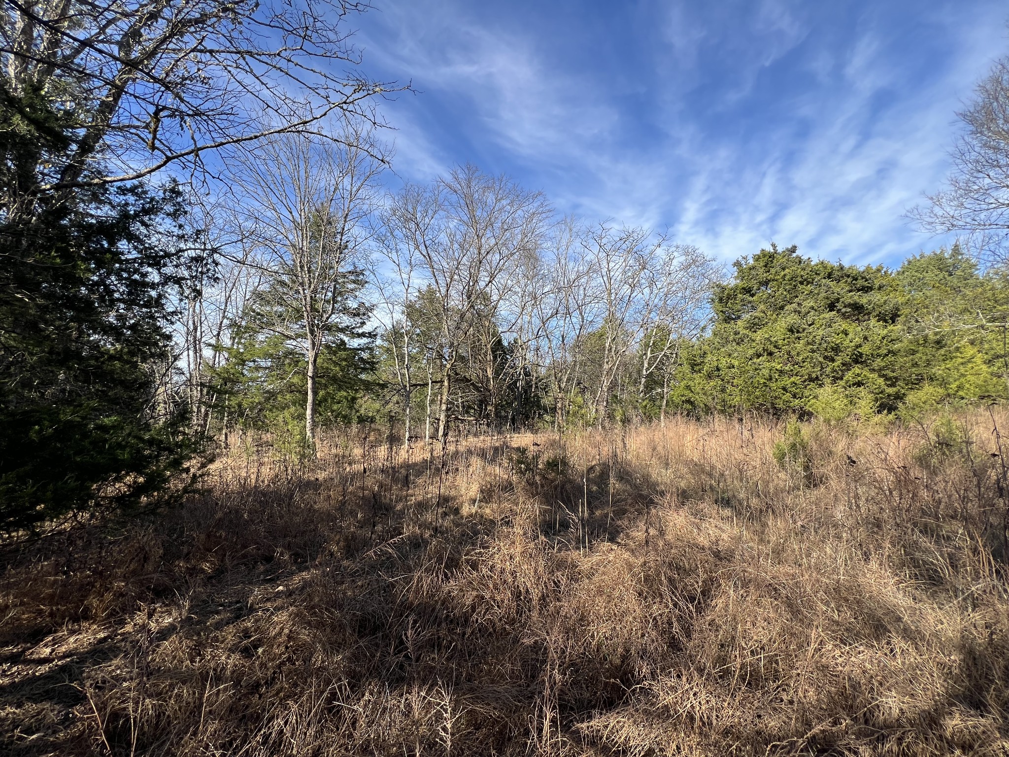 515 Big Branch Road Granville, TN 38564 - Photo 63 of 76