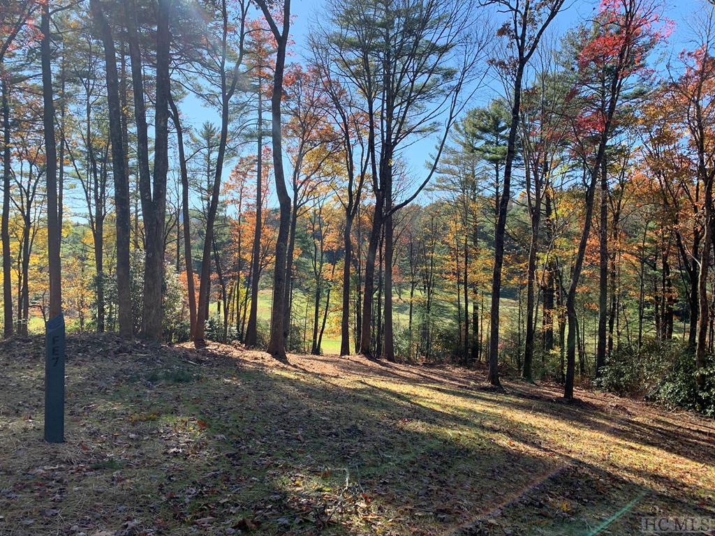 Fe-4 Triple Farm Road Cullowhee, NC 28723 - Photo 6 of 34 Gallery Image 6