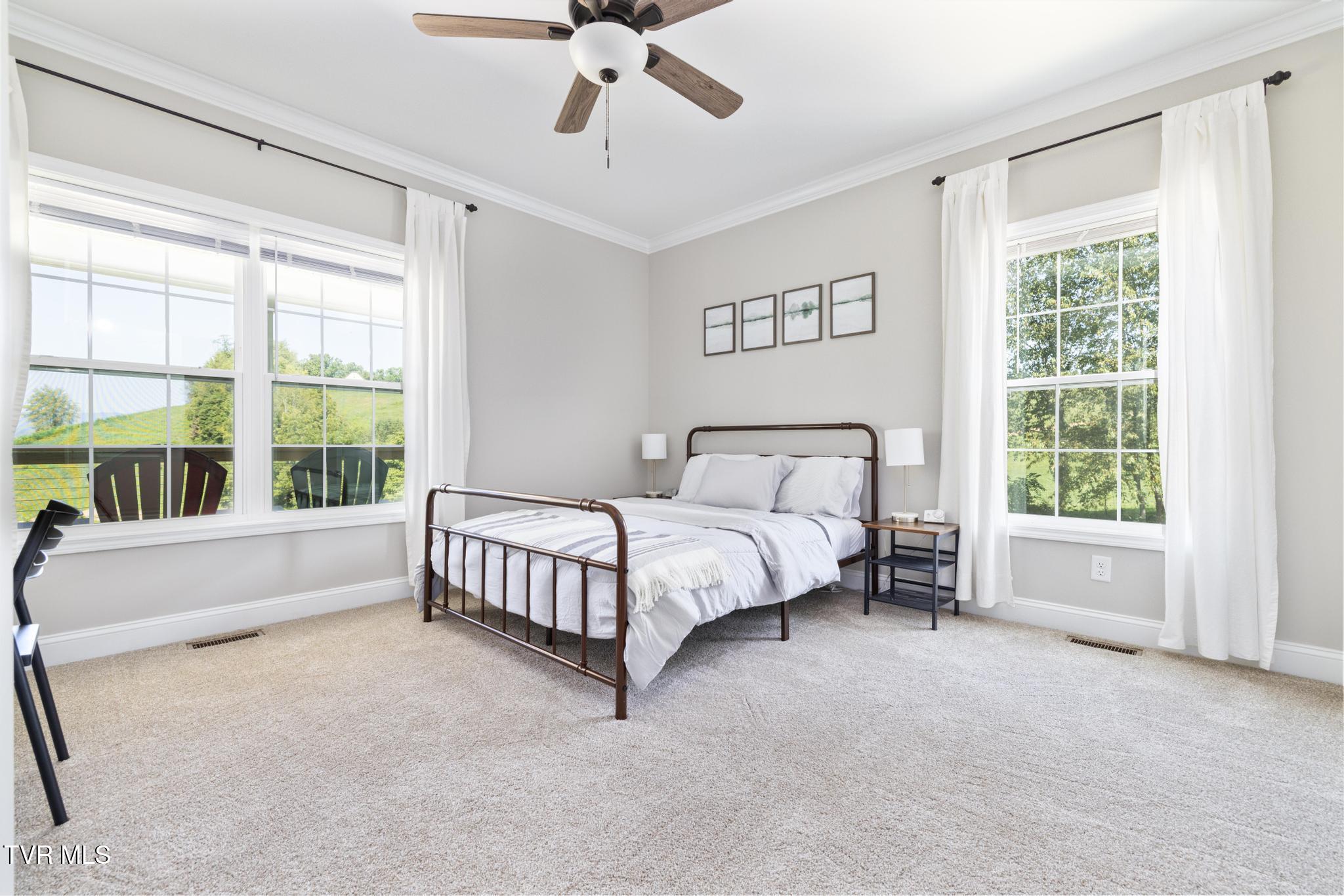 306 Silver Oak Trail Butler, TN 37640 - Photo 21 of 54 Primary bedroom