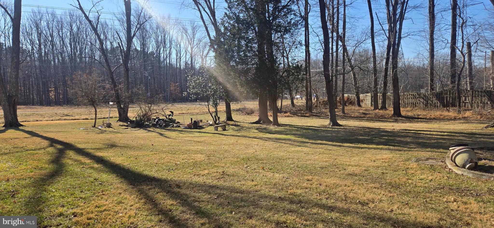 11507 Keystone Avenue Clinton, MD 20735 - Photo 33 of 33 a view of a backyard with trees