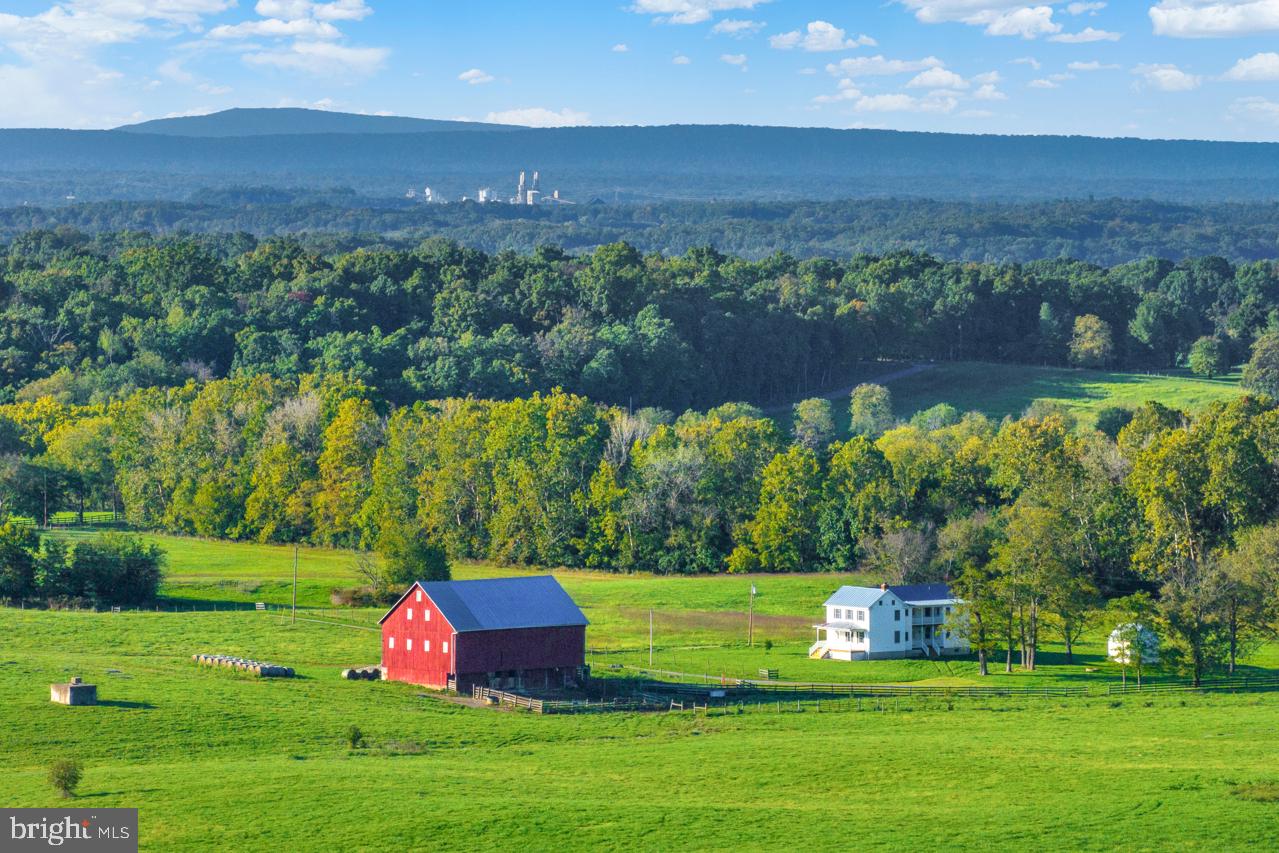 846 Pierce Road Berryville, VA 22611 - Photo 1 of 137 130 ACRES WITH 2 HOUSES & BARN & ADDITIONAL DUR