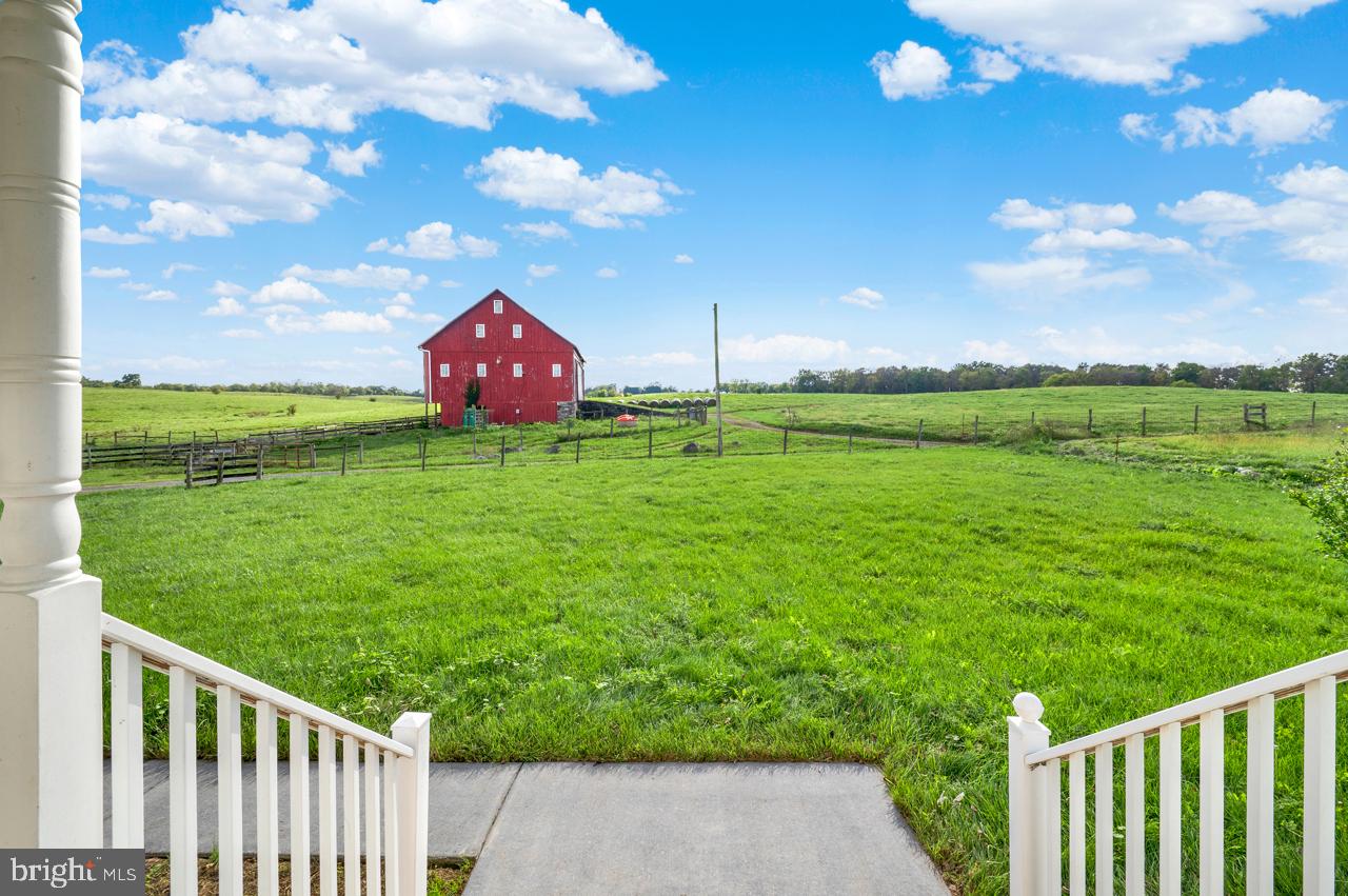 846 Pierce Road Berryville, VA 22611 - Photo 5 of 137 VIEW FROM 1 OF 3 PORCHES