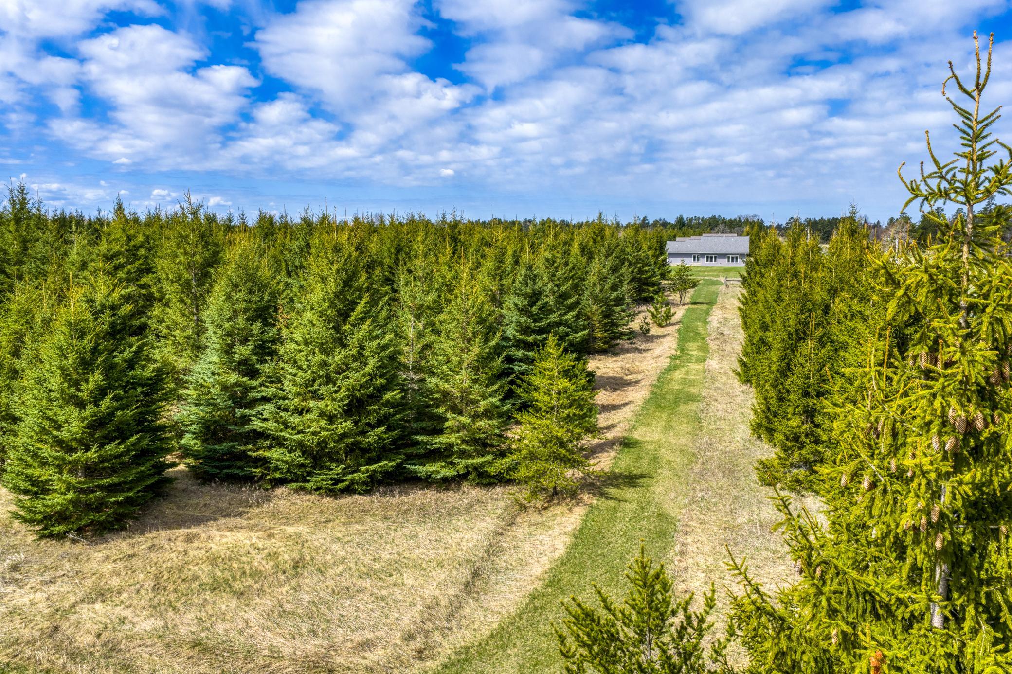 2008 Whiting Road Northwest, Unit 29 Bemidji, MN 56601 - Photo 41 of 49