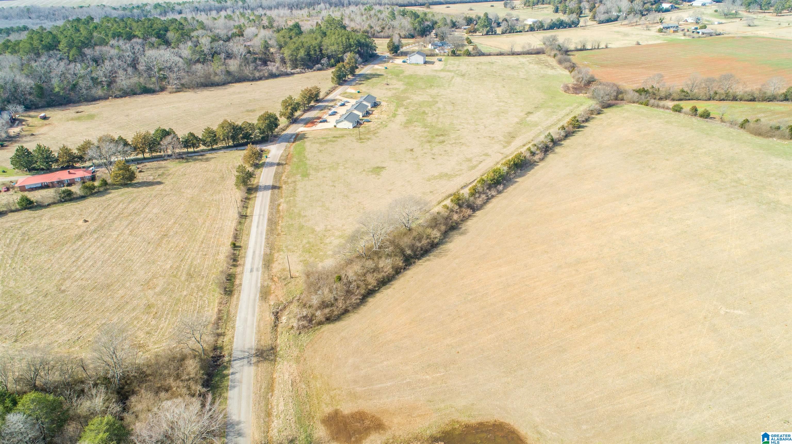 0 Oak Grove Road Munford, AL 36268 - Photo 5 of 9
