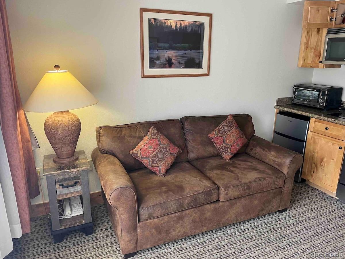 6 Emmons Road, Unit 269 Crested Butte, CO 81225 - Photo 4 of 17 Gallery Image 4