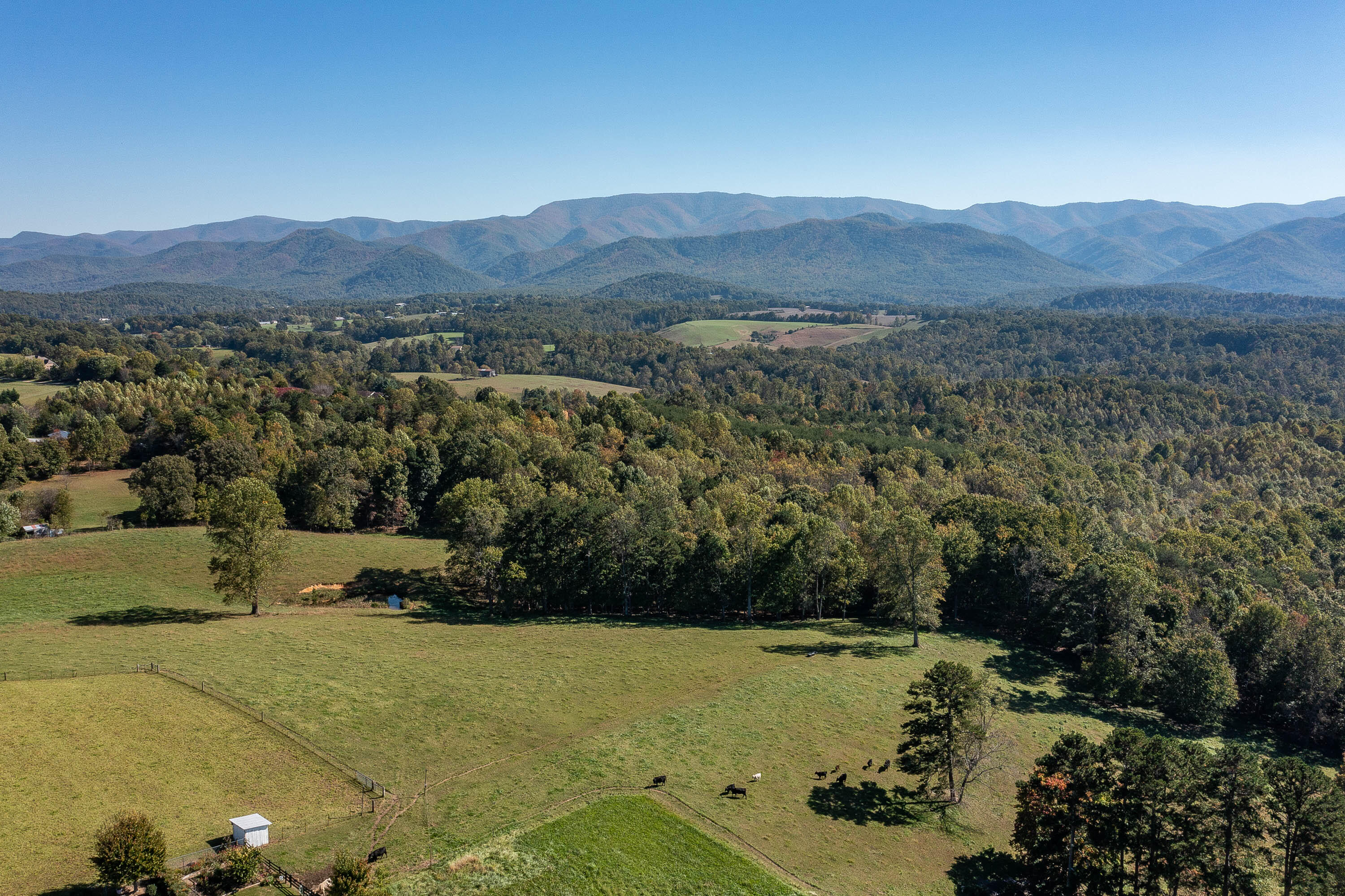645 Keller Road Afton, TN 37616 - Photo 36 of 44 645 Keller Rd-9