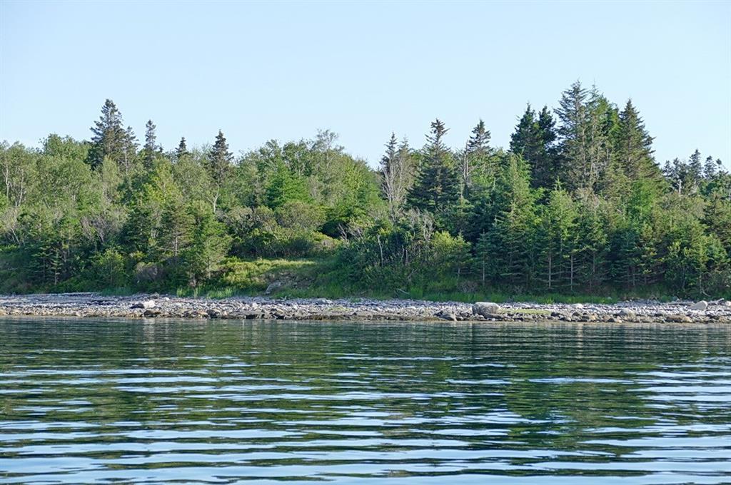124 Atlantic Loop Road Swans Island, ME 04685 - Photo 9 of 24 Photo