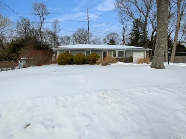 a front view of house with a garden