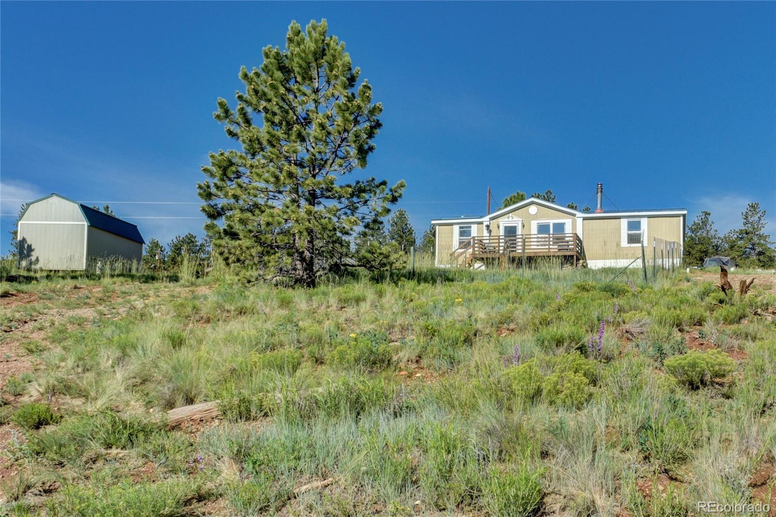 4470 Campfire Road Hartsel, CO 80449 - Photo 7 of 35 a view of a house with a yard