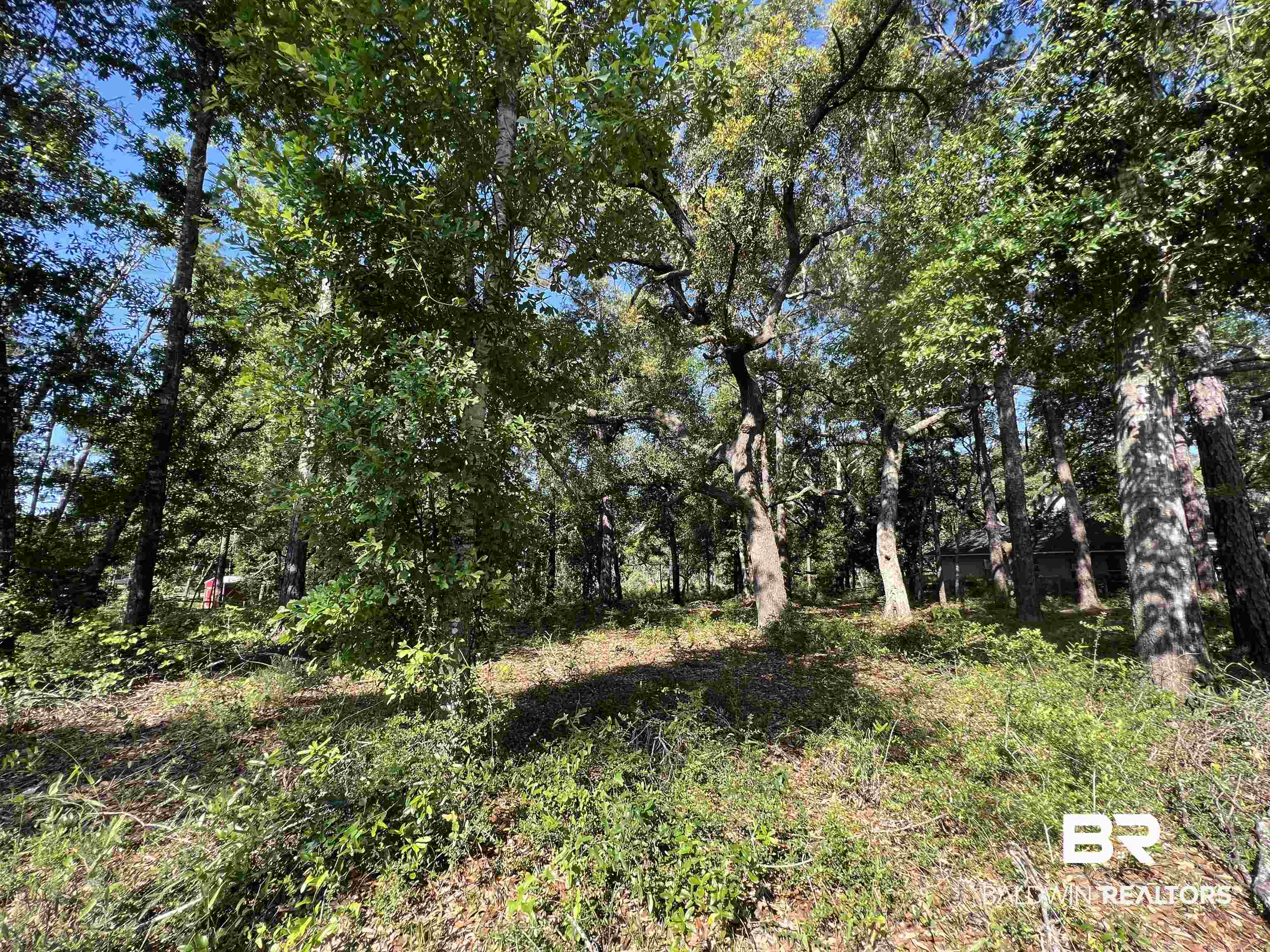 9545 North Bayou Road Lillian, AL 36549 - Photo 6 of 34 View of nature