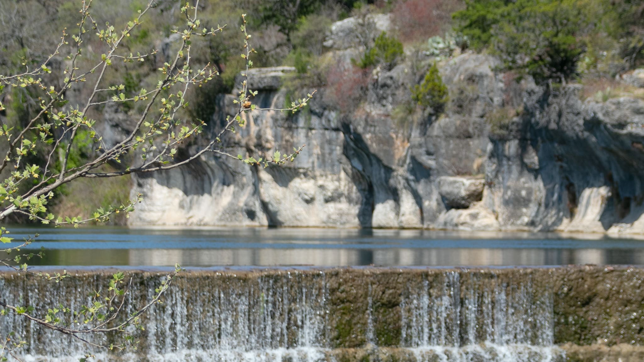 1213 Sunset Hill Way Georgetown, TX 78628 - Photo 4 of 4