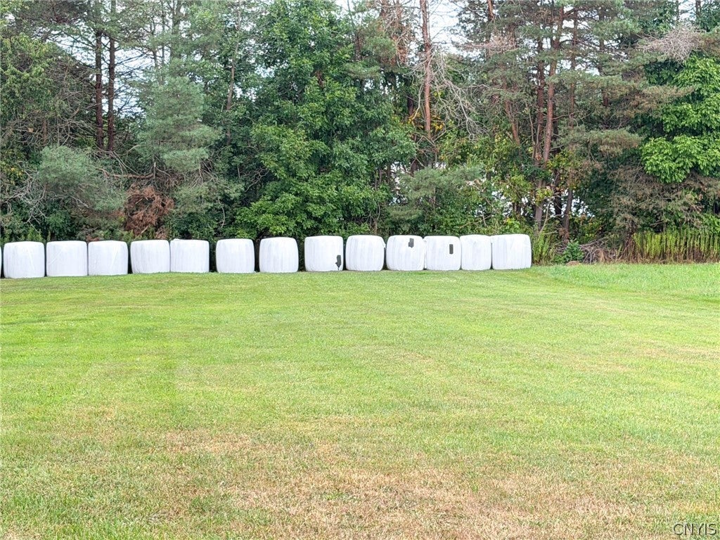 2503 Eckel Road Blossvale, NY 13308 - Photo 38 of 49 Gallery Image 38