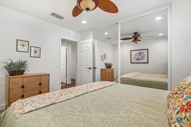 a view of a backyard with a garden and plants