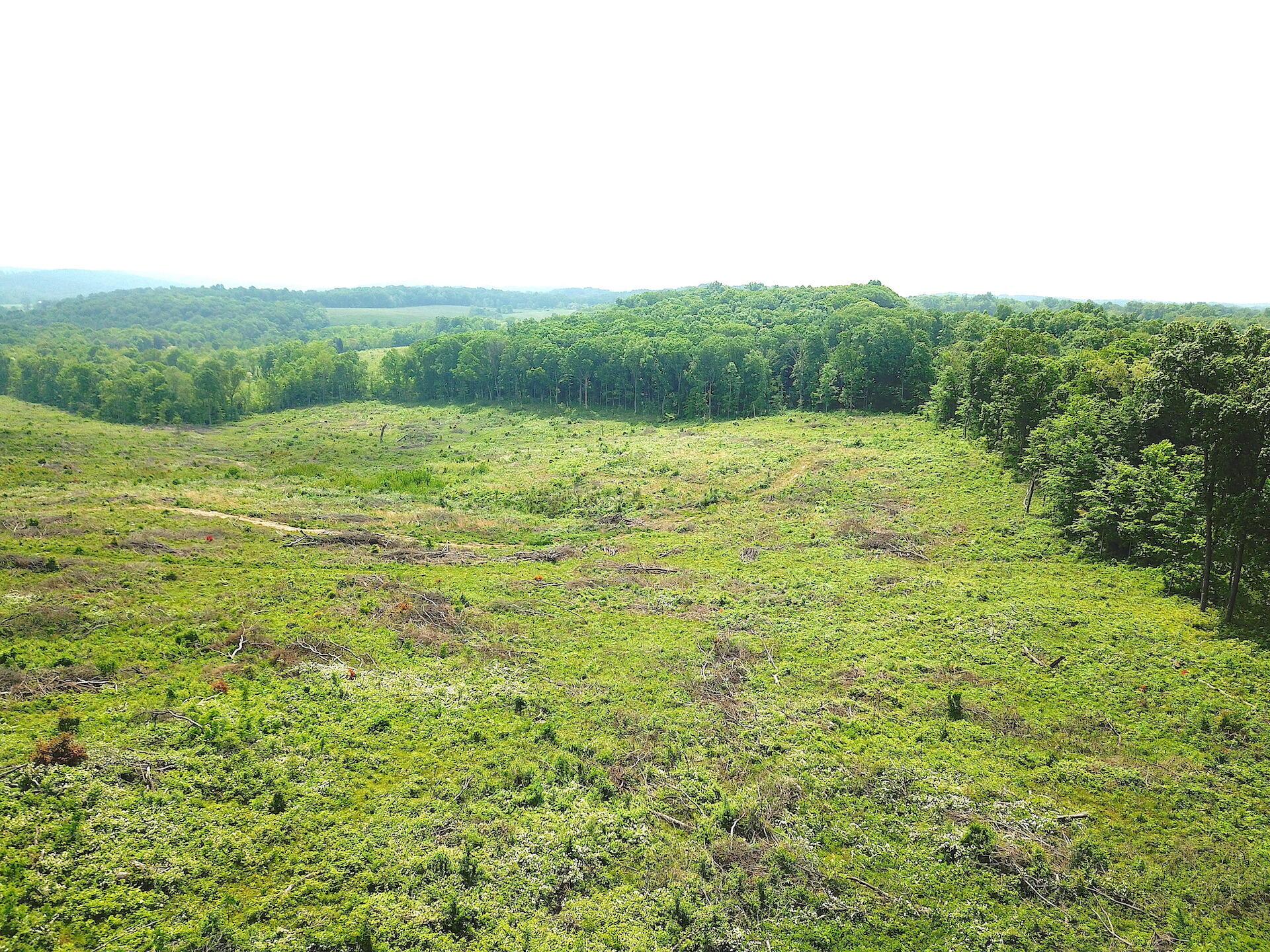 0 Beatty Road Waverly, OH 45690 - Photo 19 of 28 DJI_0967