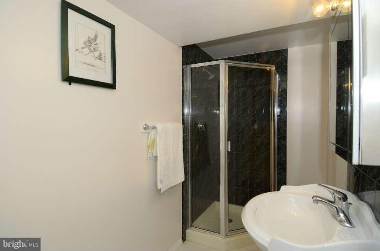 10628 Hunters Valley Road Vienna, VA 22181 - Photo 18 of 30 Lower level bathroom