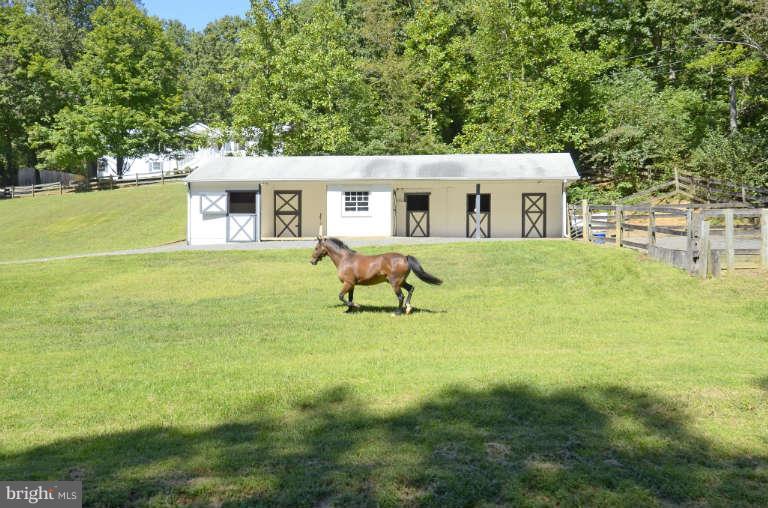 10628 Hunters Valley Road Vienna, VA 22181 - Photo 26 of 30 7 stall stable and 2 paddock areas