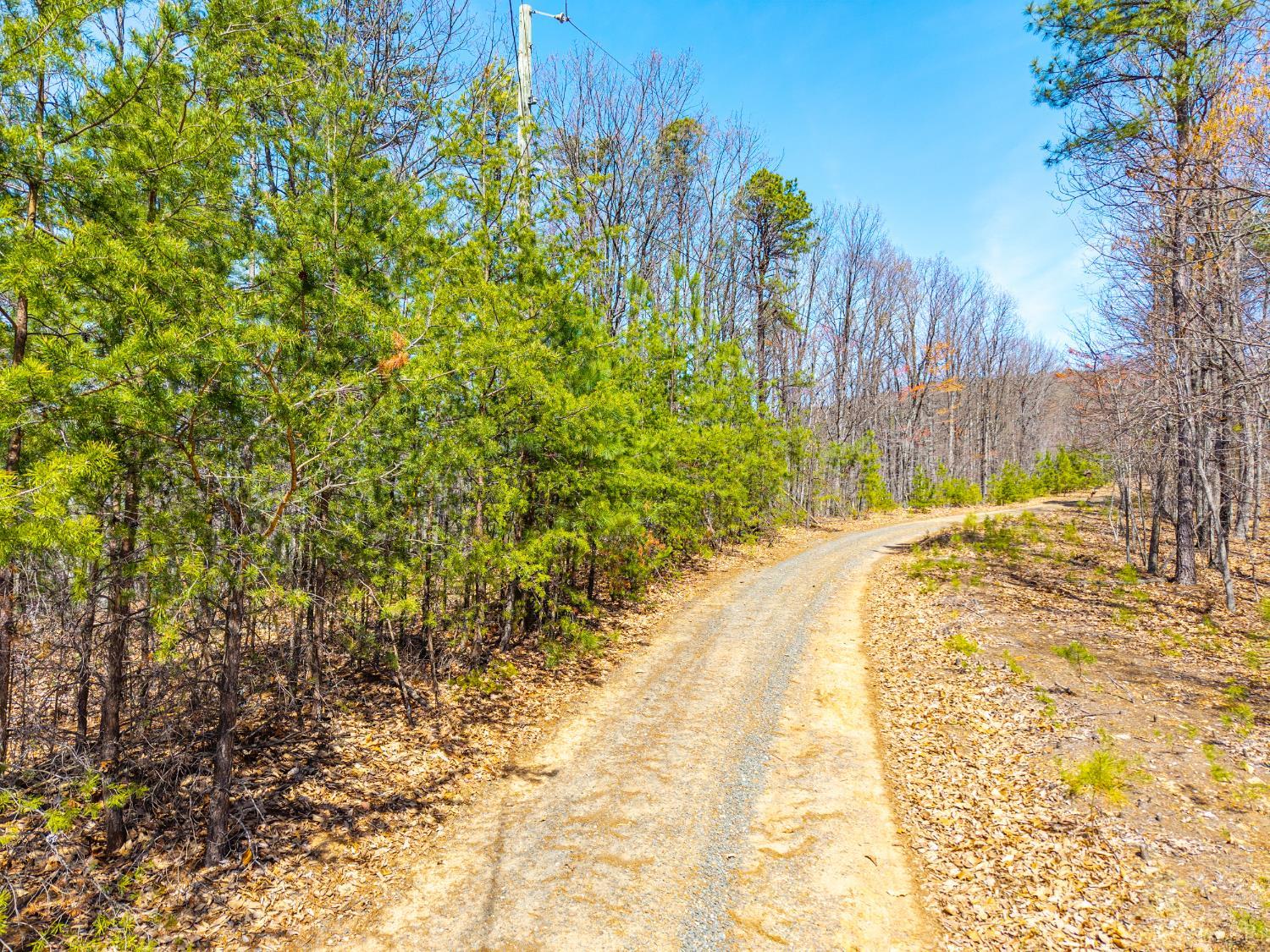 0 Larkin Mountain Road Amherst, VA 24521 - Photo 27 of 35