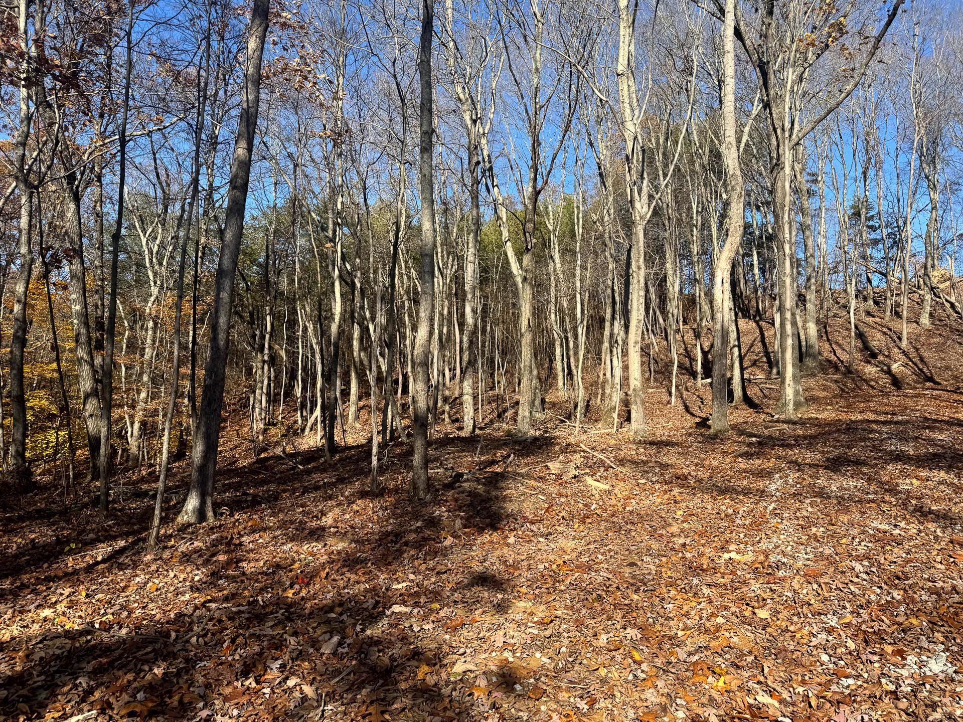 680 Nibert Road, Unit PONDS POPLAR RIDGE TRACT 10) Gallipolis, OH 45631 - Photo 16 of 46 CT-16