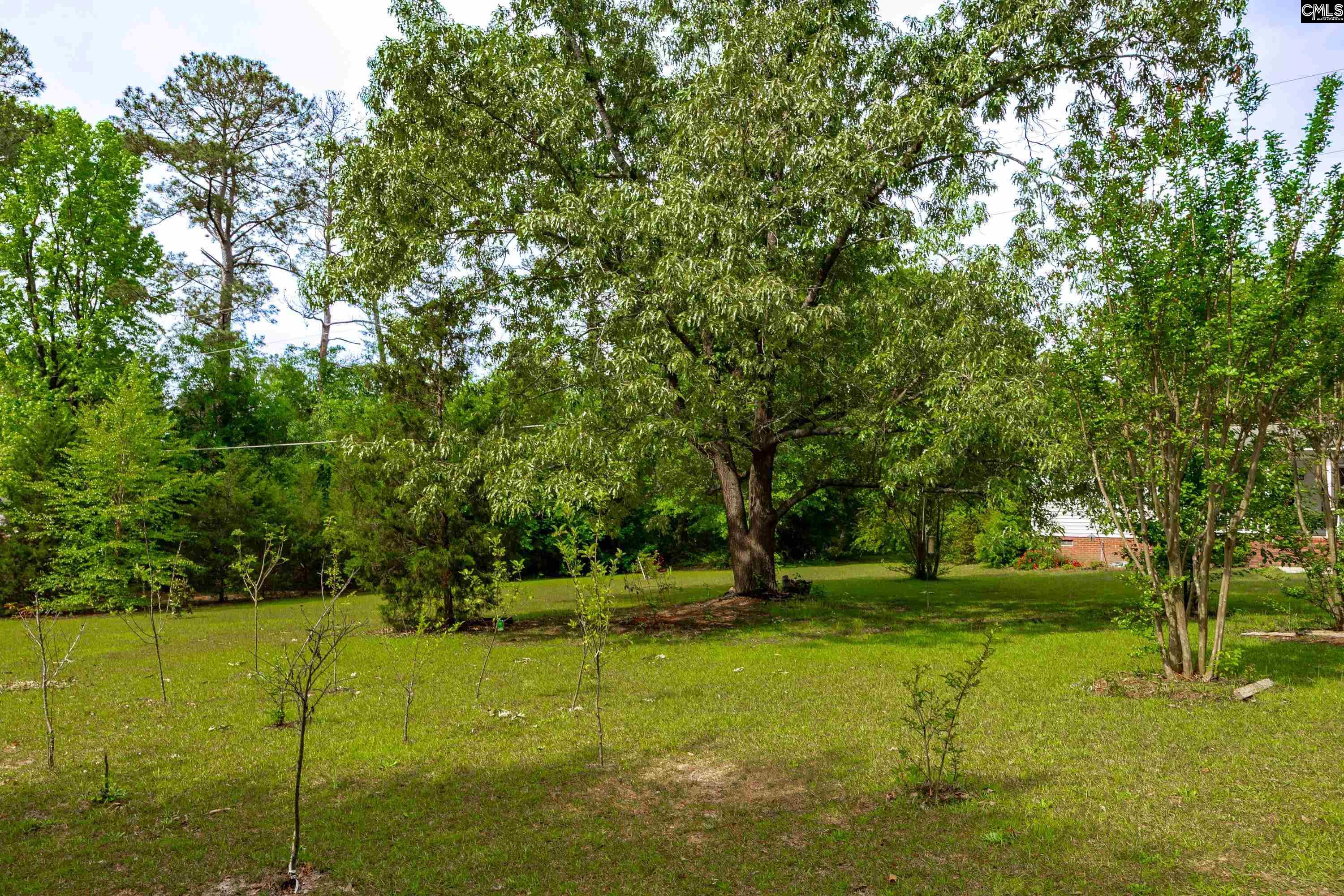 1571 Chestnut Road Elgin, SC 29045 - Photo 35 of 45