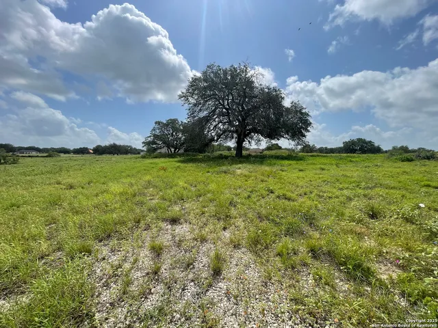 a view of a big yard and mountain view