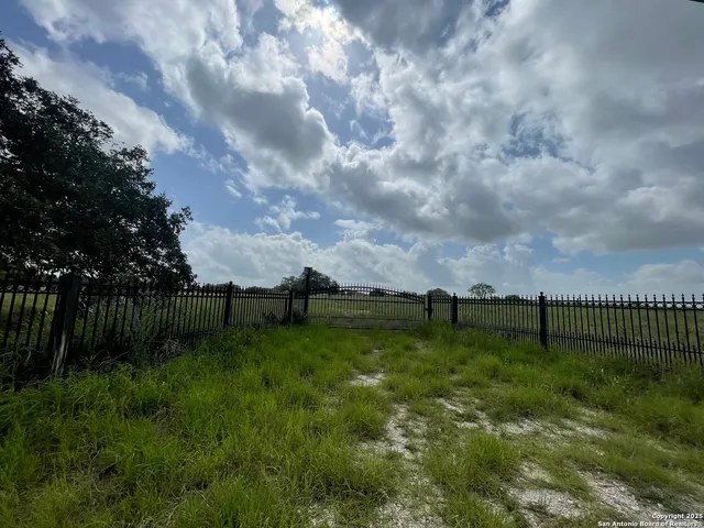 a view of a bunch of trees in a field