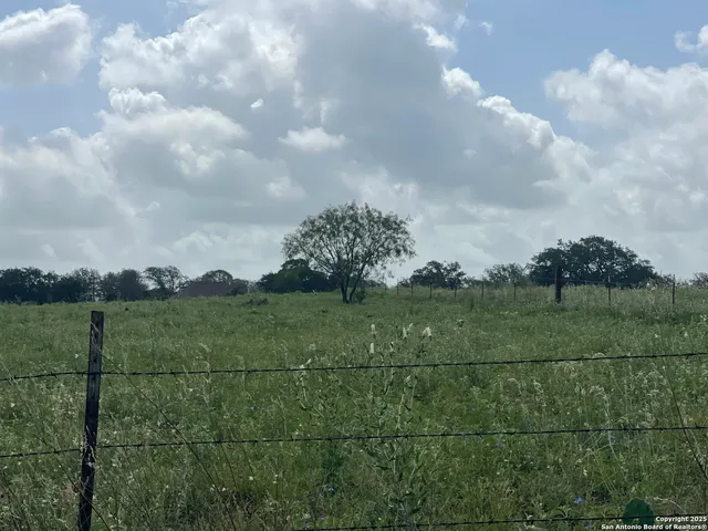 a view of a field with trees in the background