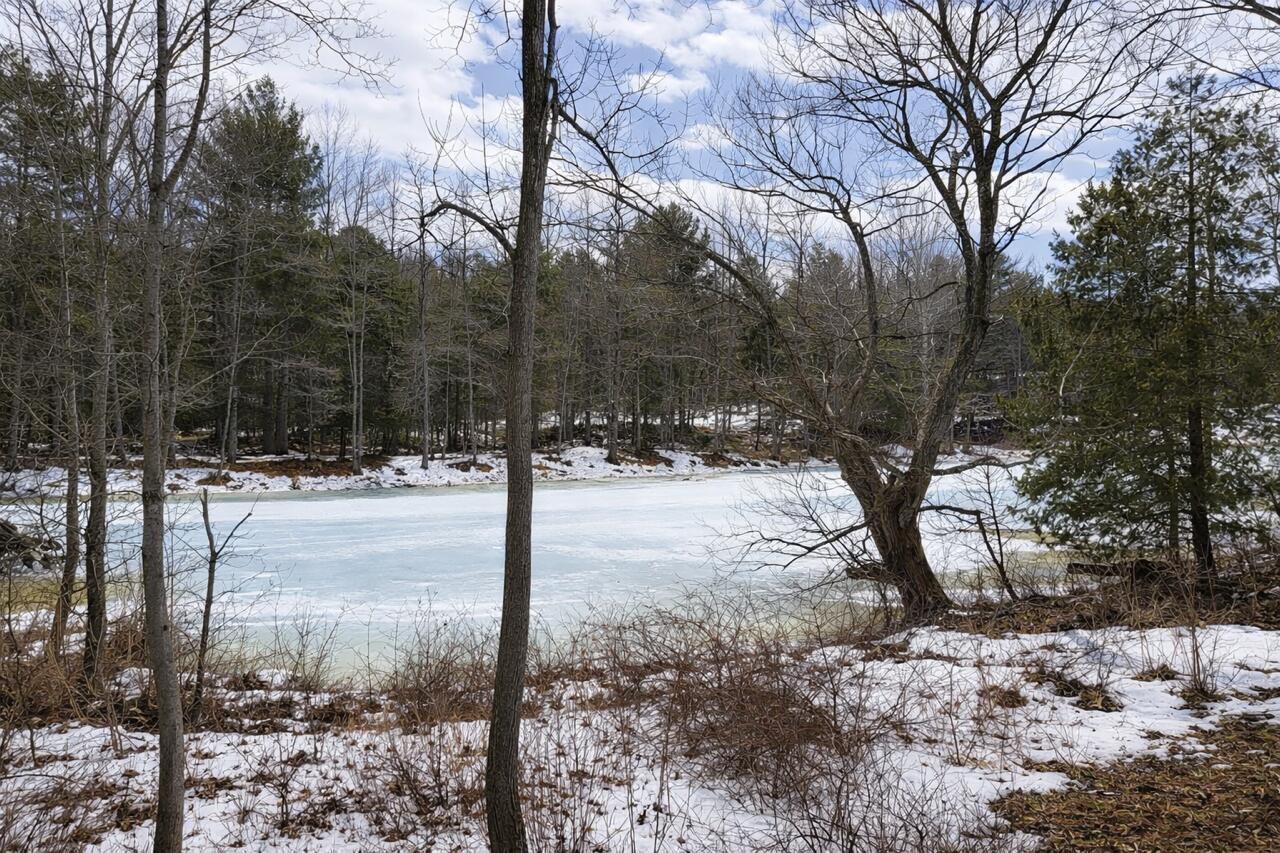 586 Plains Road Harrison, ME 04040 - Photo 6 of 28 D3E0B0F9-7812-4AEB-A344-7A55098AE6DB