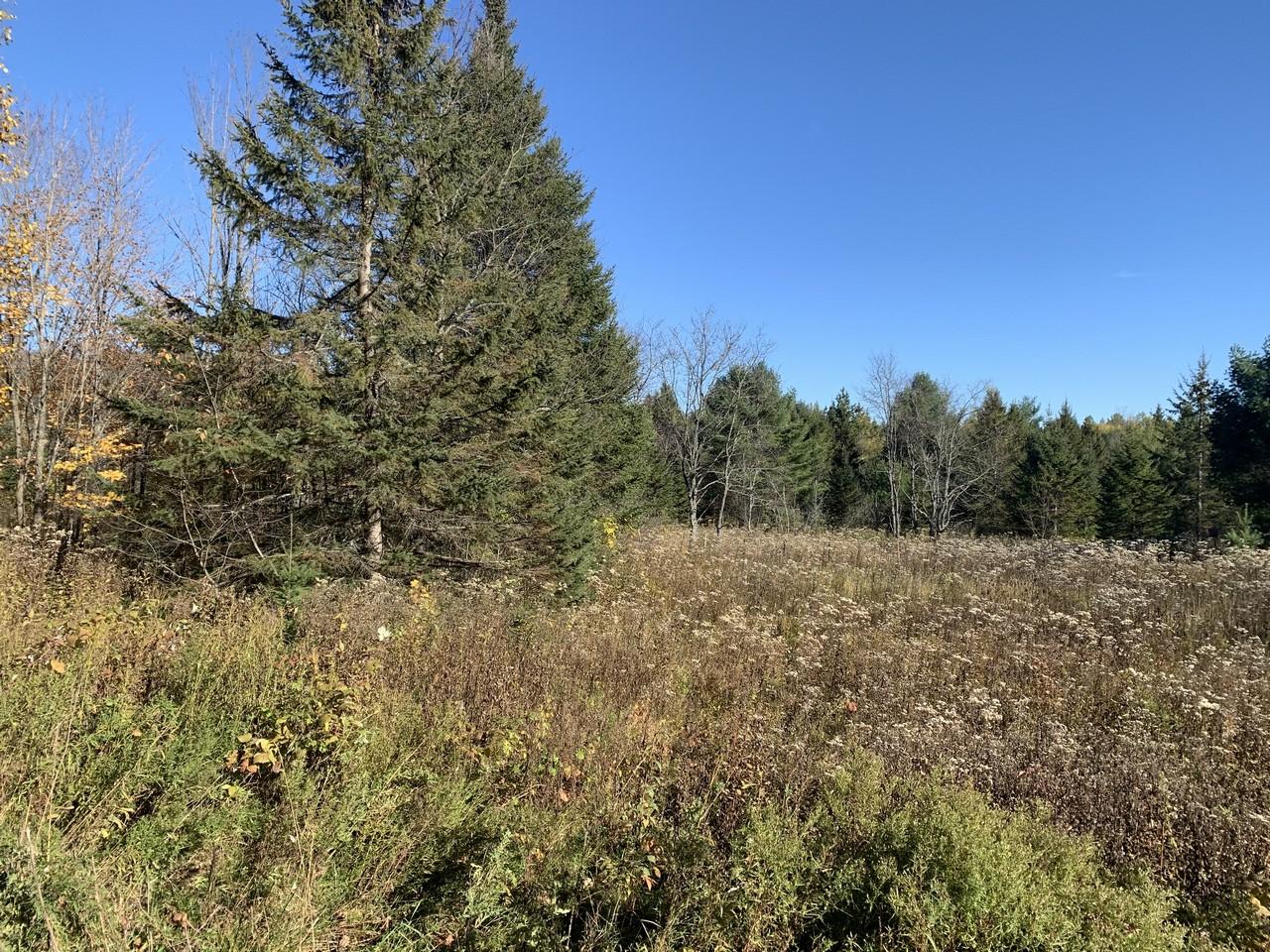 On Military Road, Unit 61 ACRES Eagle River, WI 54521 - Photo 12 of 17 Gallery Image 12