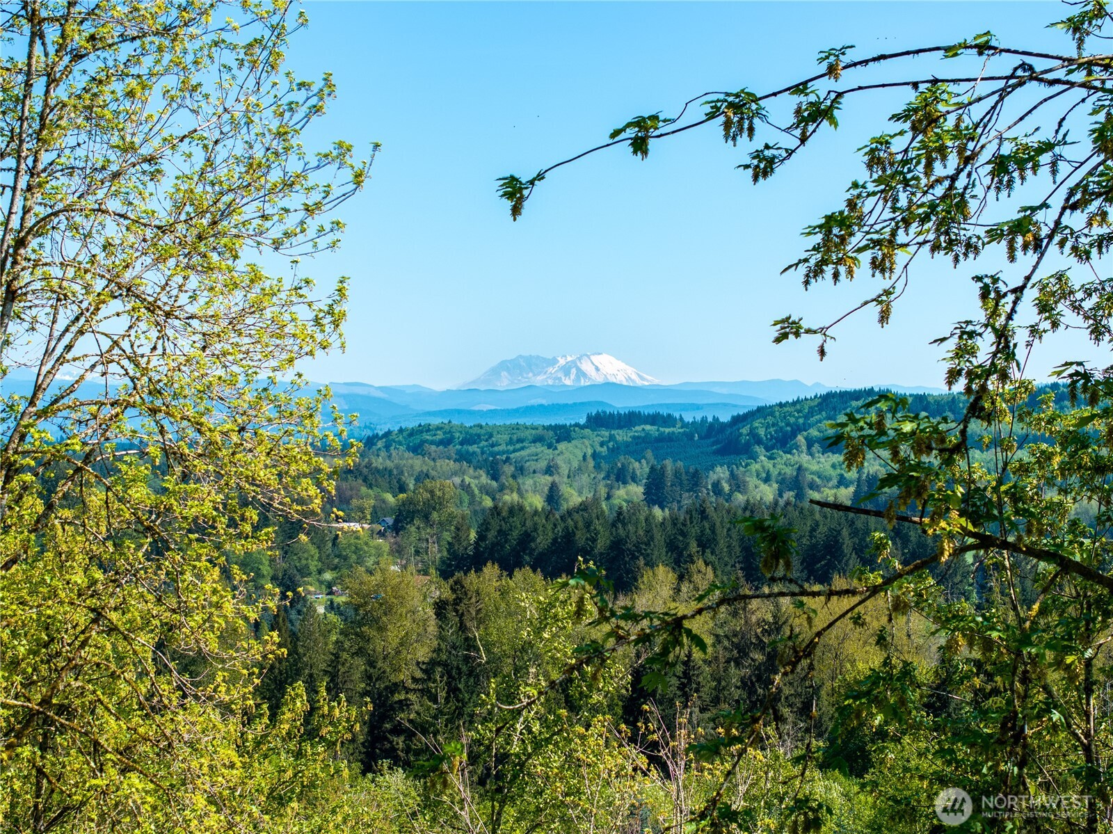 0 August Road Onalaska, WA 98570 - Photo 11 of 12 Gallery Image 11