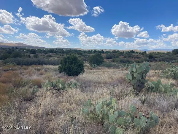 a view of a bunch of trees in a field