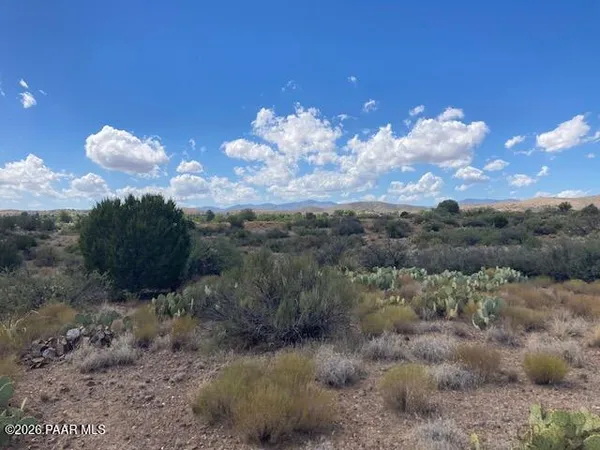 a view of a dry yard