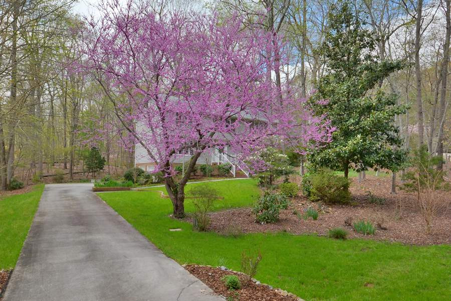 5619 Red Coach Road Durham, NC 27712 - Photo 29 of 30 Front yard