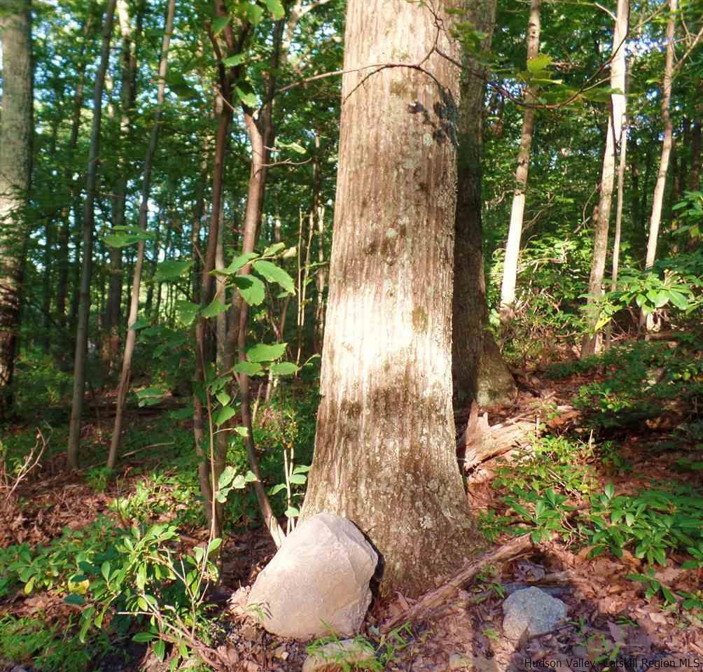 Tbd Laurel Hollow Road Kerhonkson, NY 12446 - Photo 11 of 24 Photo 11