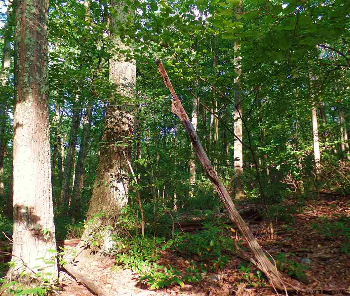 Tbd Laurel Hollow Road Kerhonkson, NY 12446 - Photo 12 of 24 Photo 12